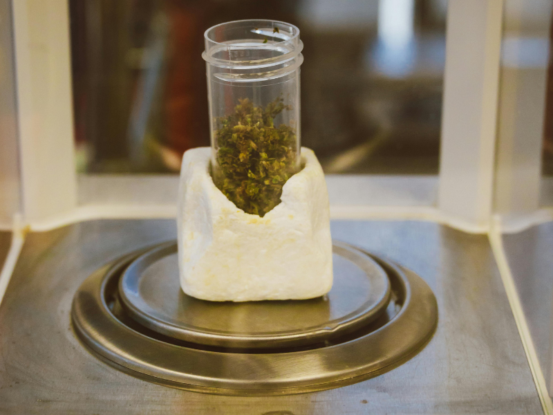 Qualitätskontrolle von Cannabis bei CannaGarten NRW
